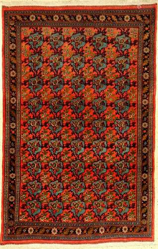 Fine Bijar Rug (Golfarang Design),