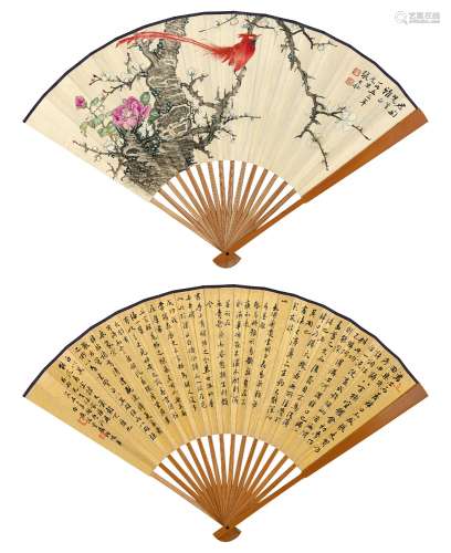 张大壮(1903-1980) 火凤迎春 白蕉(1907-1969) 随笔  成扇 设色纸本、水墨泥金笺