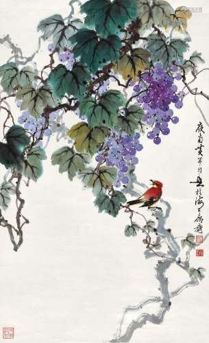 黄幻吾(1906-1985) 葡萄鸣禽   1981年作 立轴 设色纸本