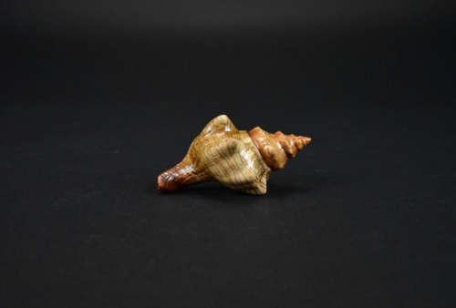 A FAMILLE ROSE CONCH ORNAMENT