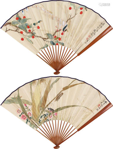 赵叔孺(1874-1945) 寿带红果 玉米草虫 设色纸本 成扇 1933年作
