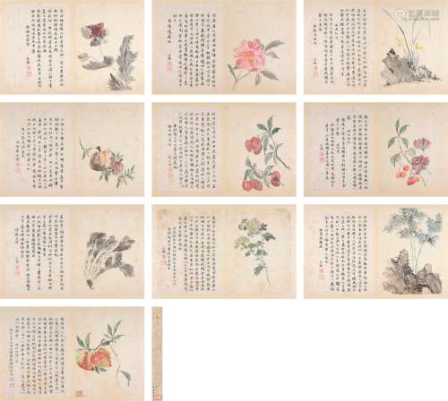 蒋廷锡（1669～1732）  花卉册 （十开） 册页 设色纸本