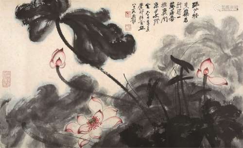 张大千（1899～1983） 1978年作 疏池芙蕖 镜心 设色纸本