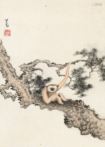 溥心畬（1896～1963） 松猿图 镜片 设色纸本