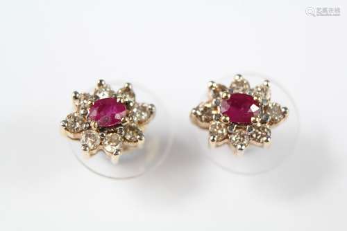 A Pair of Lady's 14ct Yellow Gold and Ruby Earrings