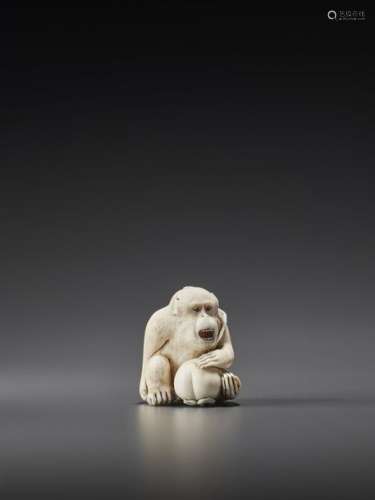 AN IVORY NETSUKE OF A MONKEY WITH PERSIMMON BY MAS…