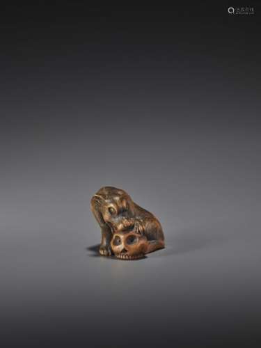 A POWERFUL WOOD NETSUKE OF A WOLF WITH SKULL BY MA…