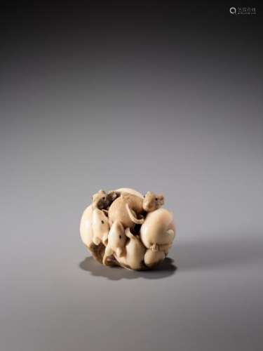 A LARGE IVORY NETSUKE OF A CLUSTER OF SEVEN RATS B…