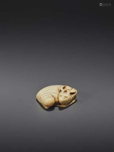 AN EARLY IVORY NETSUKE OF A RECUMBENT STAG
