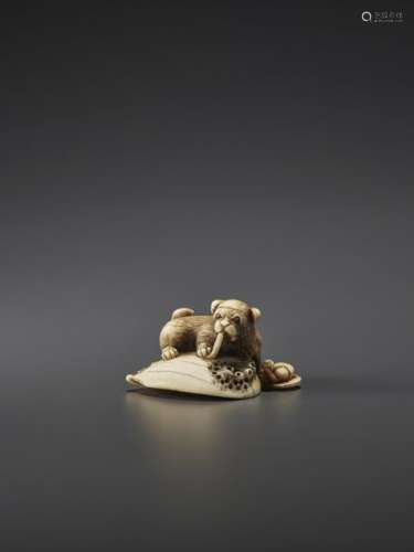 A CHARMING IVORY NETSUKE OF A PUPPY WITH AWABI AND…