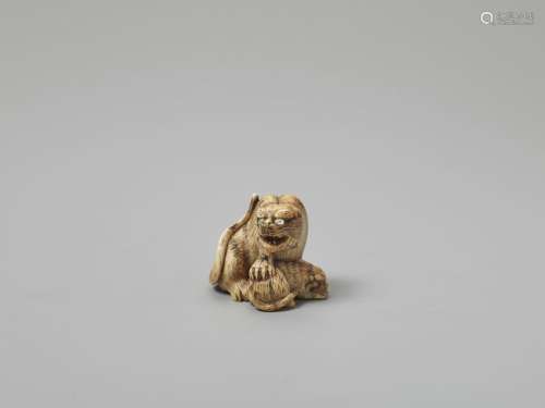 AN IVORY NETSUKE OF A TIGER WITH CUB SIGNED HAKURY…