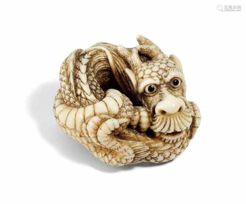 BEDEUTENDES NETSUKE EINES ZUSAMMENGEROLLTEN DRACHEN. Japan. Edo-Zeit. 19. Jh. Elfenbein, sehr fein