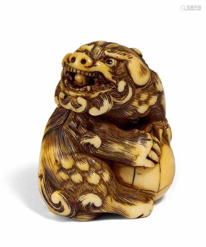 NETSUKE: KARASHISHI MIT BALL. Japan. Edo-Zeit. 18. Jh. Elfenbein mit braun eingefärbten Details, die