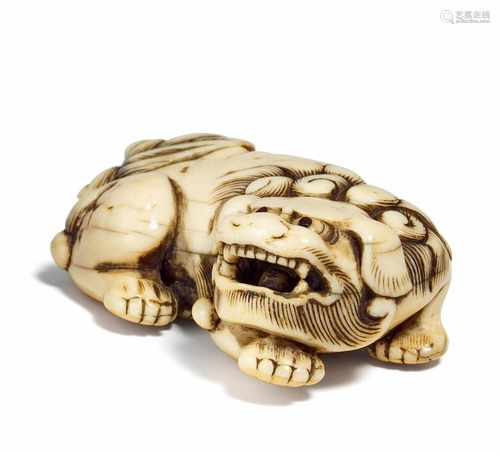 NETSUKE: MÄCHTIGER SHISHI MIT BEWEGLICHER KUGEL. Japan. Edo-Zeit. 18. Jh. Kyôto-Schule. Elfenbein