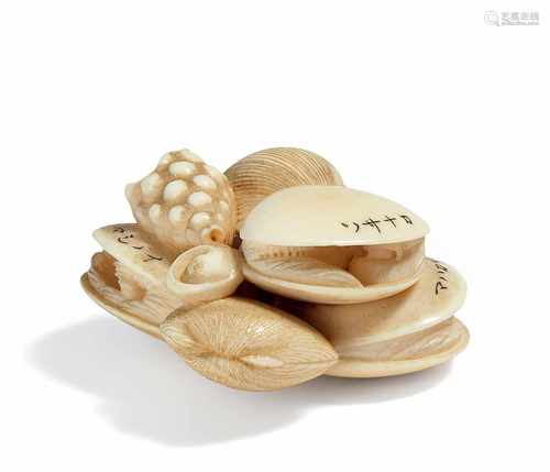 NETSUKE: GRUPPE VON MUSCHELN. Japan. 19./20. Jh. Elfenbein mit feinen Details. Verschiedene Arten