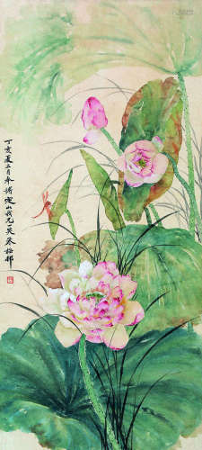 朱梅邨（1911～1993） 荷花 立轴 纸本