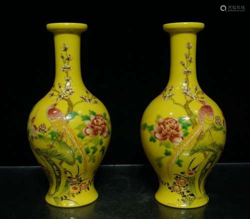 A Pair of Famille Rose Porcelain Vases