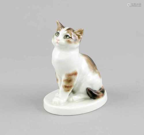 Junge Katze, aufrecht sitzend, Meissen, Marke 1850-1924, 1. W., Entwurf Erich Hösel imJahr 1917,