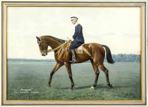 Elf gerahmte Fotos zum Thema Pferdesport, teilweise sign. und mit Widmung, 30 x 40 cm undkleiner