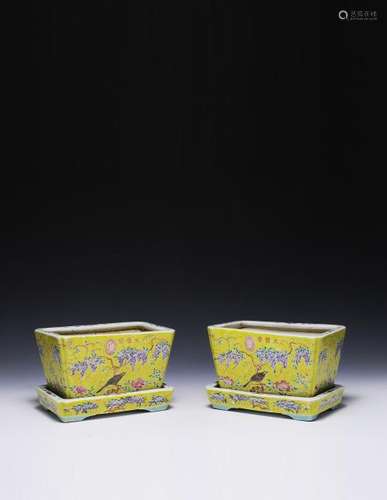 Pair of Yellow Ground Planters, Guangxu