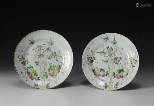 Pair of Imperial Famille Rose Plates, Guangxu