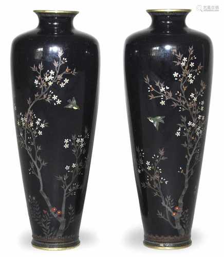 PAAR CLOISONNE-VASEN, SPATZEN,JAPAN, MEIJI-PERIODEH. 18 CM