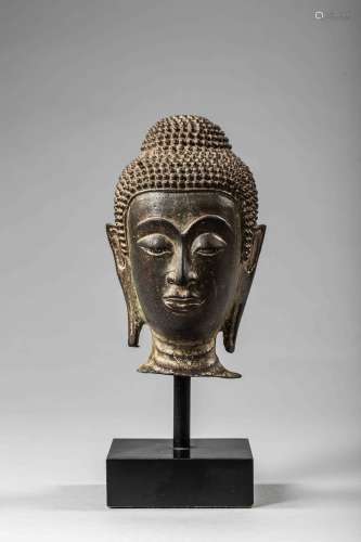 Tête de Buddha surmontée de la protubérance crânienne ushnisha symbole de sa [...]