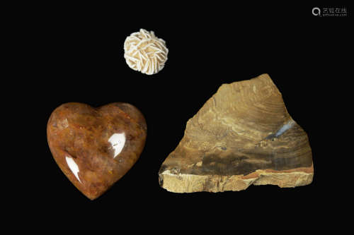 A Set of Three Pieces of Assorted Stones and Rocks (Dessert Rose, Quartz, and Tree Fossil)