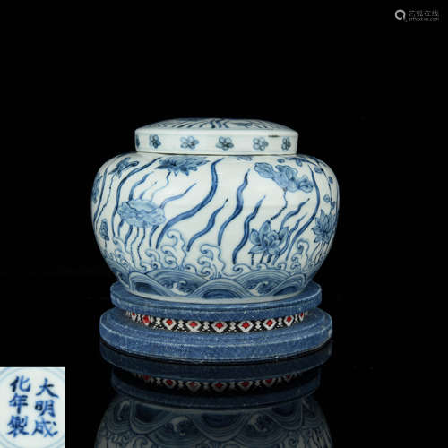 A Chinese Blue and White Porcelain Jar