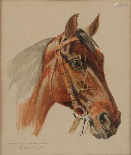 W. Verschuur jr., Studie paardenhoofd