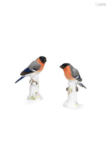 Two small Meissen models of bull finches, early 20th century