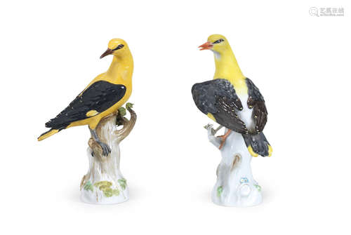 Two Meissen models of golden orioles, late 19th/early 20th century