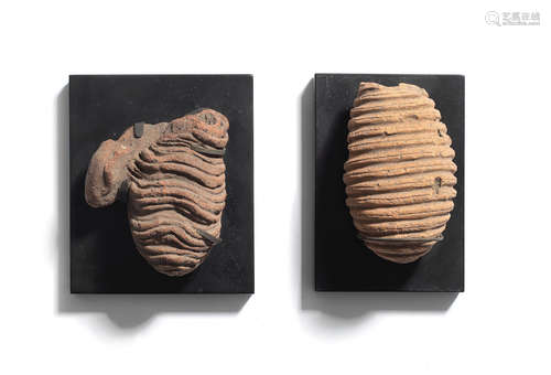 Two Etruscan terracotta votive wombs  2