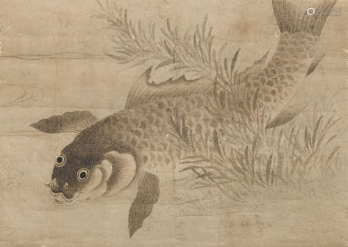 Anonymous (Muromachi/Edo period)   Catfish