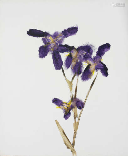 Irises, 1962 Sidney Nolan(1917-1992)