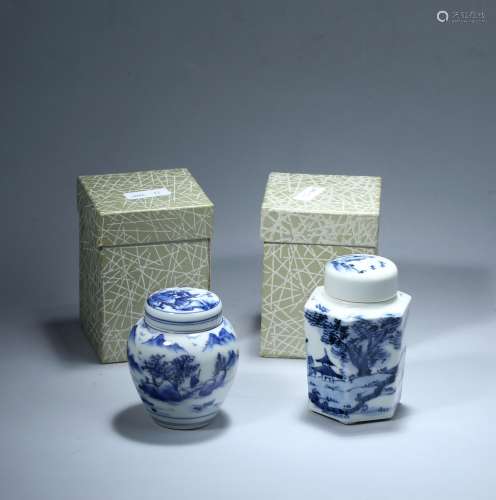 A Pair of Chinese Blue and White Porcelain Tea Cans