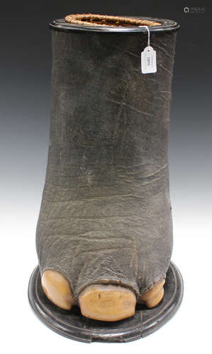 A late 19th/early 20th century taxidermized elephant's foot stick stand with ebony mounted rim and