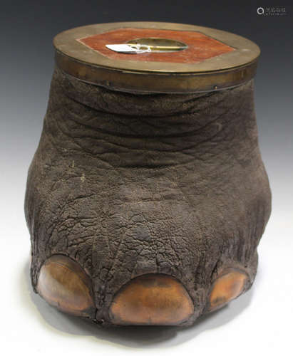 An early 20th century taxidermized elephant's foot wine cooler, fitted with a brass and teak