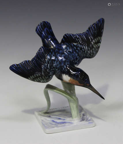 A Rosenthal porcelain kingfisher, mid-20th century, designed by F. Heidenreich, modelled in