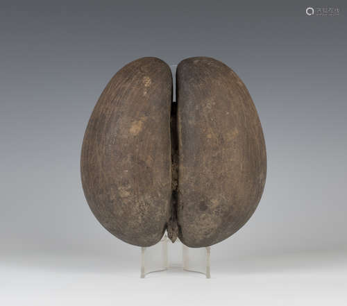 A mid-20th century coco-de-mer nut, 26cm x 25cm.Buyer’s Premium 29.4% (including VAT @ 20%) of the