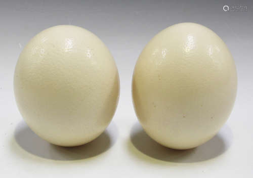 A group of fifteen ostrich eggs.Buyer’s Premium 29.4% (including VAT @ 20%) of the hammer price.