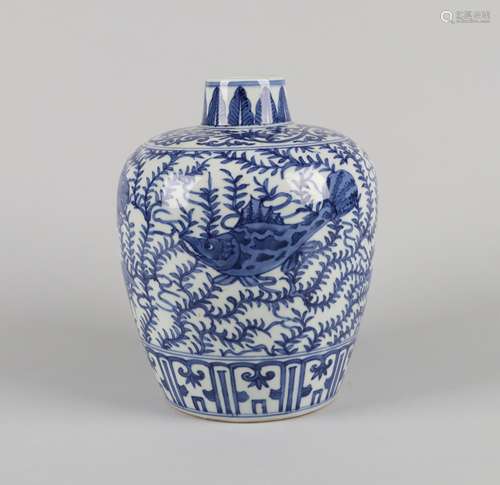 A Chinese Blue and White Porcelain Jar