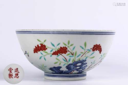 A Chinese Dou-Cai Porcelain Bowl