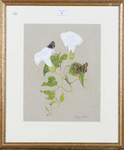 Matthew Hillier - Convolvulus and Butterflies, 20th century watercolour with gouache, signed and