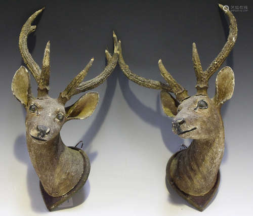 A pair of early 20th century Black Forest style composition models of deers' heads, mounted on