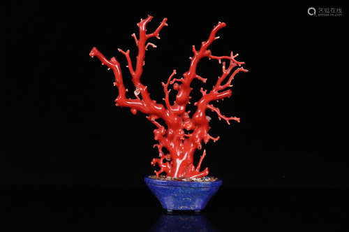 Red Coral Ornament