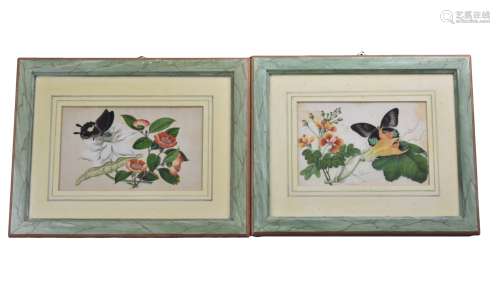 Two Pith Paper Paintings of Butterflies & Flowers