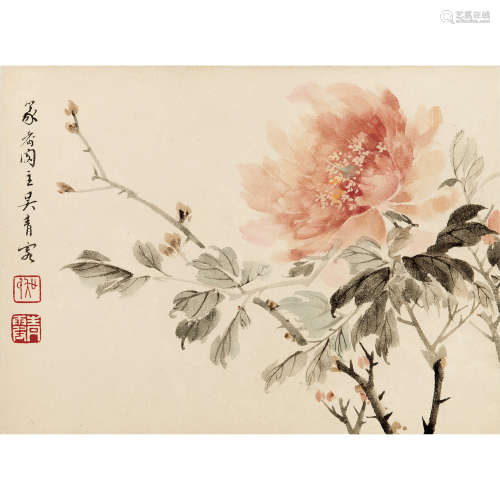 吴青霞 （1910-2008） 花卉 纸本设色 镜心