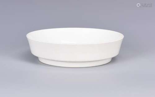 A BLUE AND WHITE PORCELAIN DISH