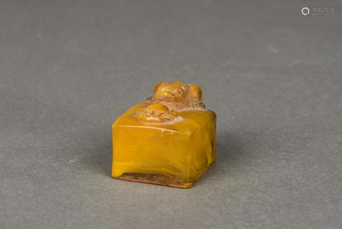 AN AMBER 'MYSTERY BEAST' SEAL